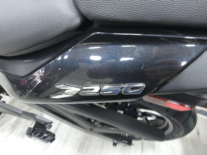Bajaj ROUSER DOMINAR 250 FULL foto 22