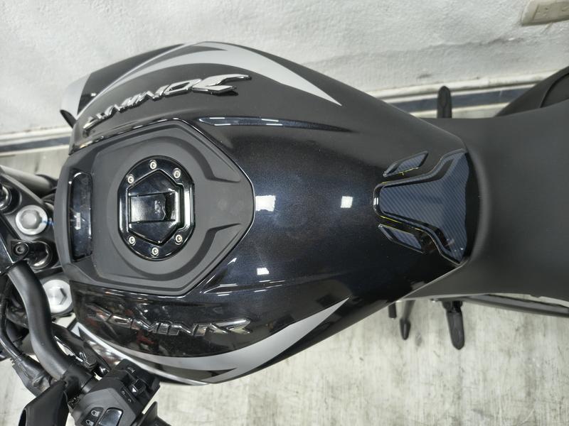 Bajaj ROUSER DOMINAR 250 FULL foto 23
